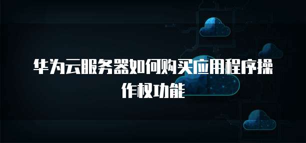 华为云服务器如何购买应用程序操作权功能