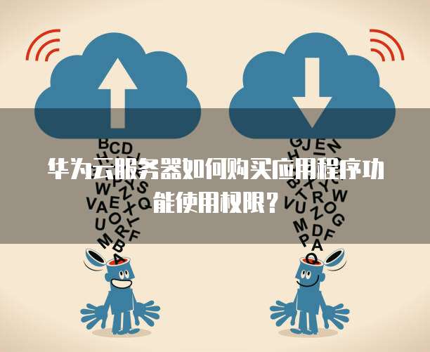 华为云服务器如何购买应用程序功能使用权限?