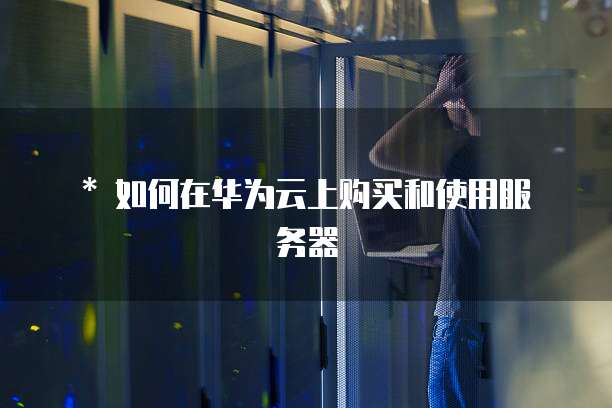 * 如何在华为云上购买和使用服务器