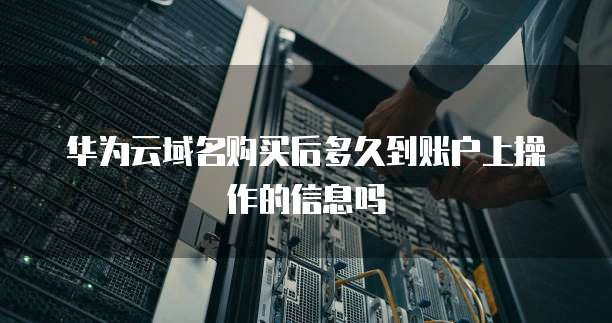 华为云域名购买后多久到账户上操作的信息吗