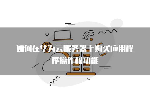 如何在华为云服务器上购买应用程序操作权功能