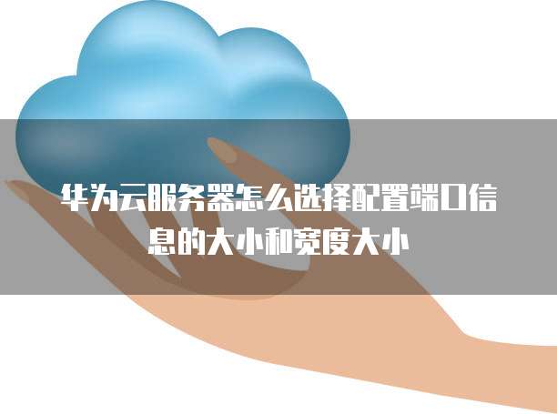华为云服务器怎么选择配置端口信息的大小和宽度大小