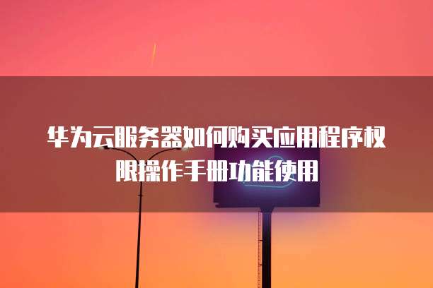 华为云服务器如何购买应用程序权限操作手册功能使用