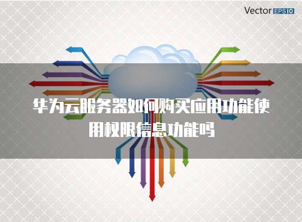 华为云服务器如何购买应用功能使用权限信息功能吗