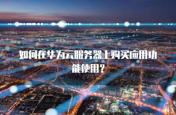 如何在华为云服务器上购买应用功能使用?