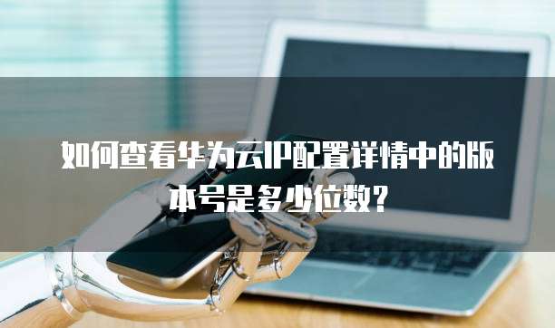 如何查看华为云IP配置详情中的版本号是多少位数?