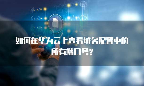 如何在华为云上查看域名配置中的所有端口号?