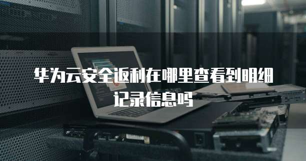 华为云安全返利在哪里查看到明细记录信息吗