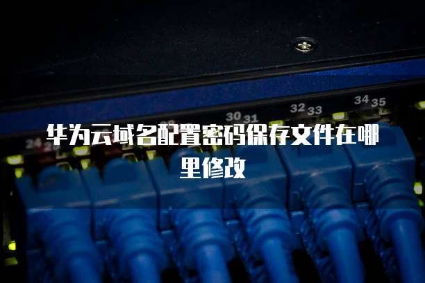 华为云域名配置密码保存文件在哪里修改