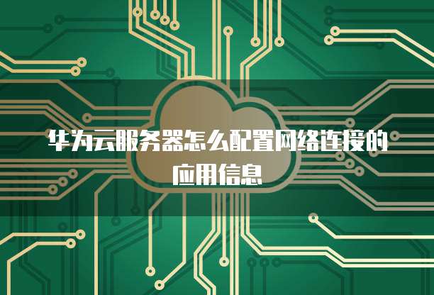 华为云服务器怎么配置网络连接的应用信息