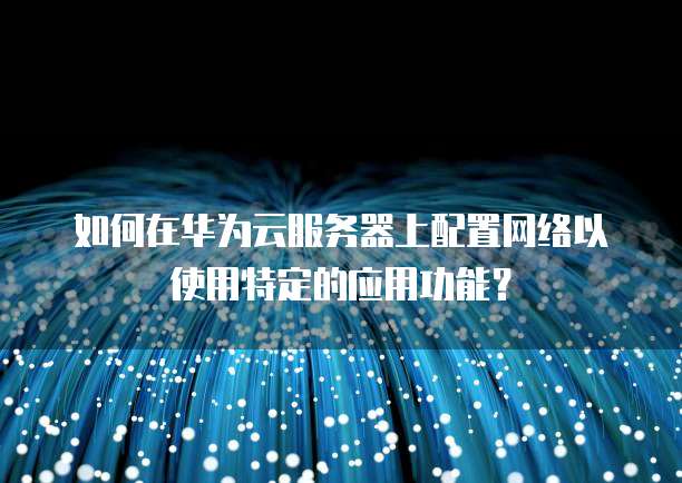 如何在华为云服务器上配置网络以使用特定的应用功能?
