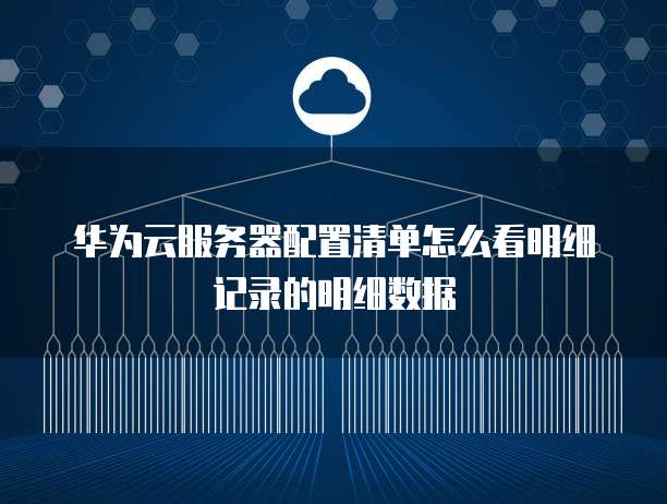 华为云服务器配置清单怎么看明细记录的明细数据
