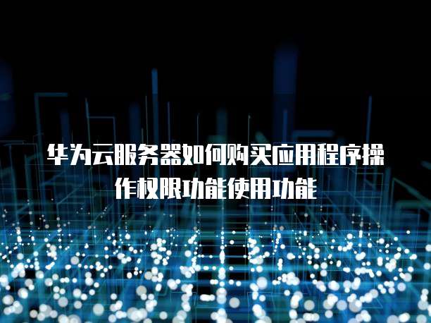 华为云服务器如何购买应用程序操作权限功能使用功能