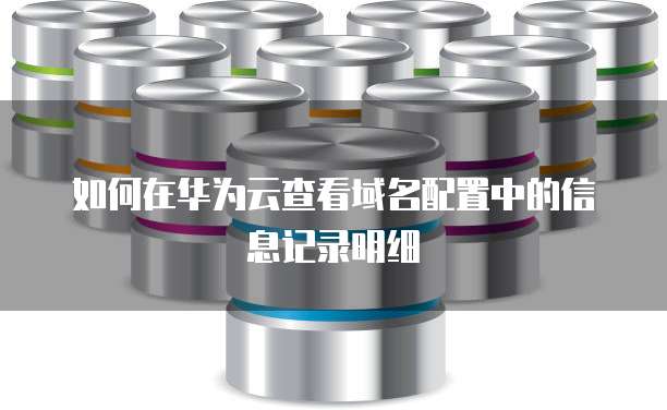 如何在华为云查看域名配置中的信息记录明细