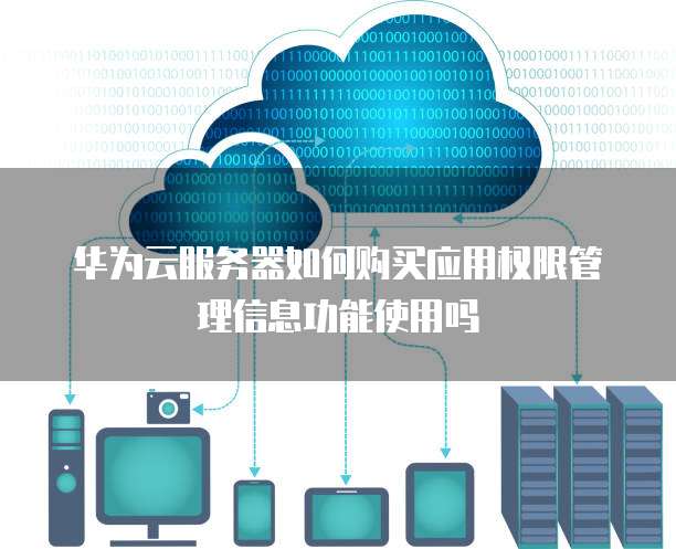 华为云服务器如何购买应用权限管理信息功能使用吗