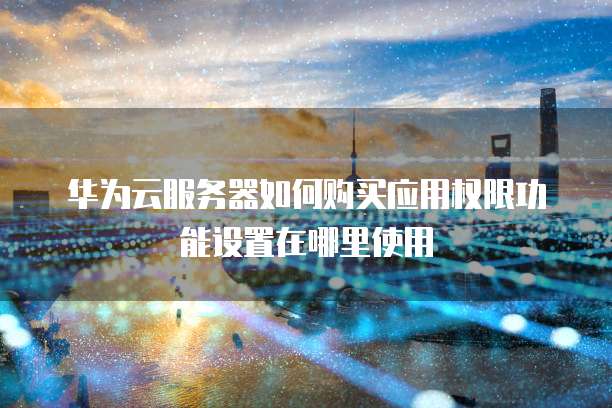 华为云服务器如何购买应用权限功能设置在哪里使用
