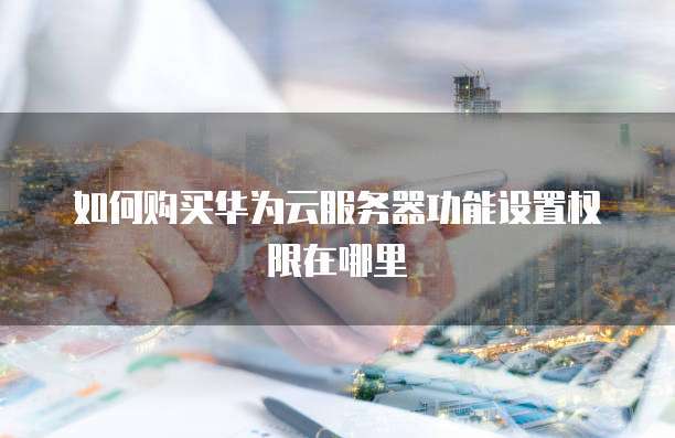 如何购买华为云服务器功能设置权限在哪里