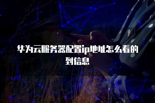 华为云服务器配置ip地址怎么看的到信息