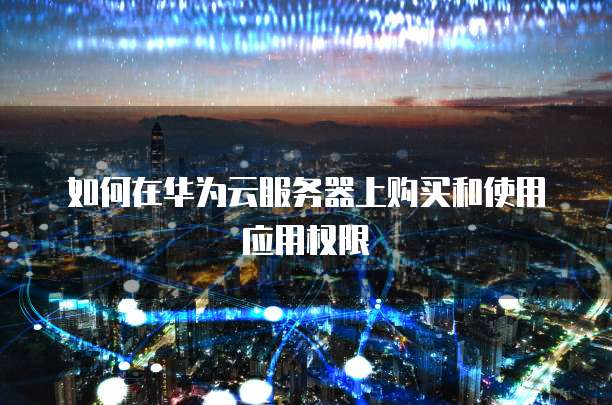 如何在华为云服务器上购买和使用应用权限