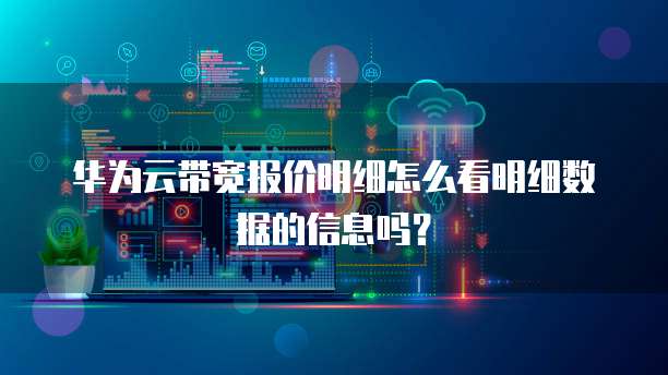 华为云带宽报价明细怎么看明细数据的信息吗?
