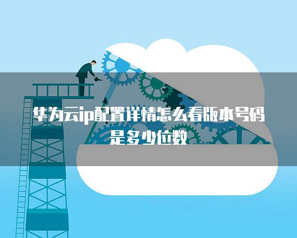 华为云ip配置详情怎么看版本号码是多少位数