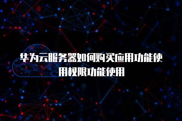 华为云服务器如何购买应用功能使用权限功能使用