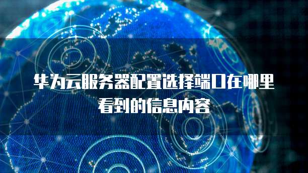 华为云服务器配置选择端口在哪里看到的信息内容