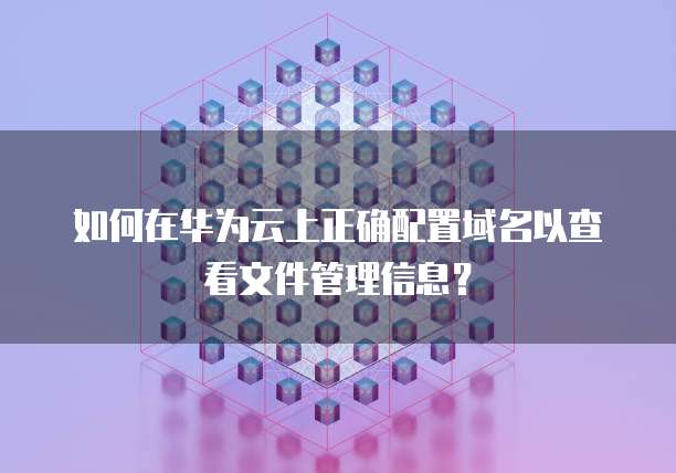 如何在华为云上正确配置域名以查看文件管理信息?
