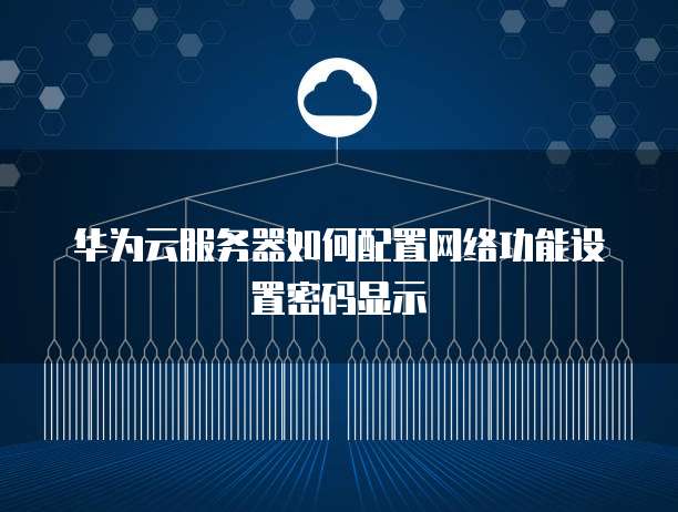 华为云服务器如何配置网络功能设置密码显示