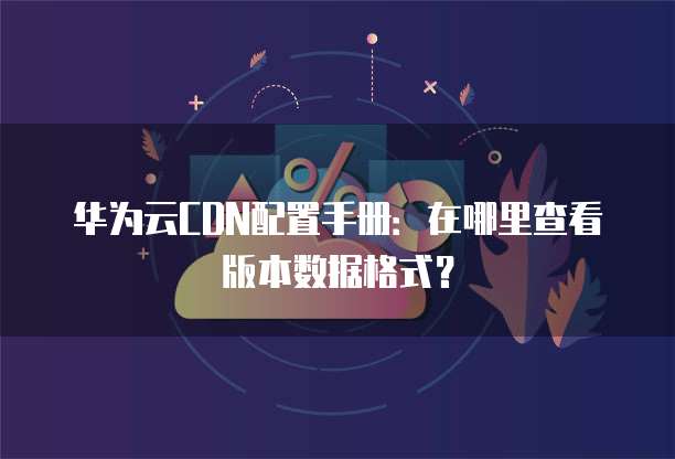 华为云CDN配置手册:在哪里查看版本数据格式?