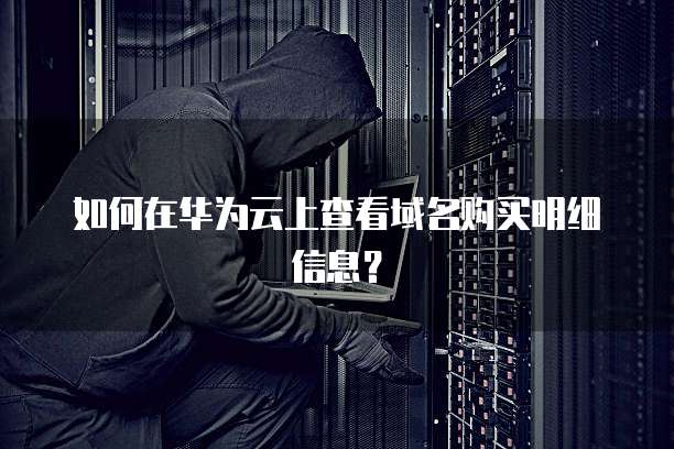 如何在华为云上查看域名购买明细信息?