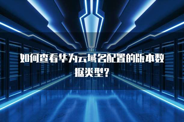 如何查看华为云域名配置的版本数据类型?