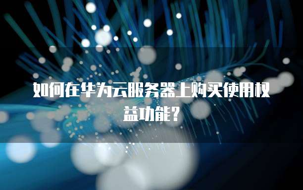 如何在华为云服务器上购买使用权益功能?
