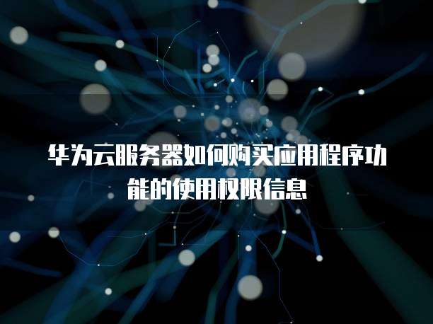 华为云服务器如何购买应用程序功能的使用权限信息