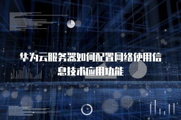 华为云服务器如何配置网络使用信息技术应用功能
