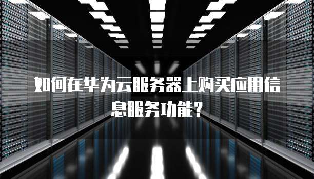 如何在华为云服务器上购买应用信息服务功能?