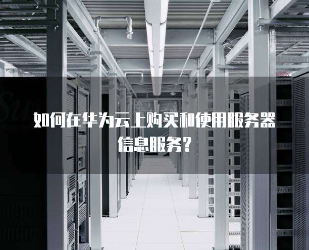 如何在华为云上购买和使用服务器信息服务?