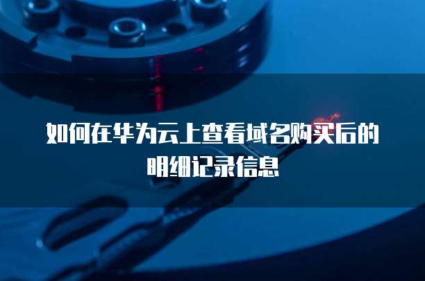 如何在华为云上查看域名购买后的明细记录信息