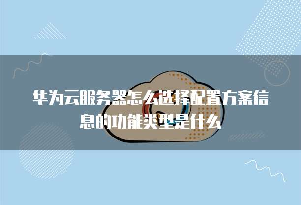 华为云服务器怎么选择配置方案信息的功能类型是什么