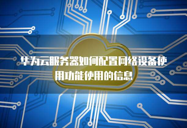 华为云服务器如何配置网络设备使用功能使用的信息