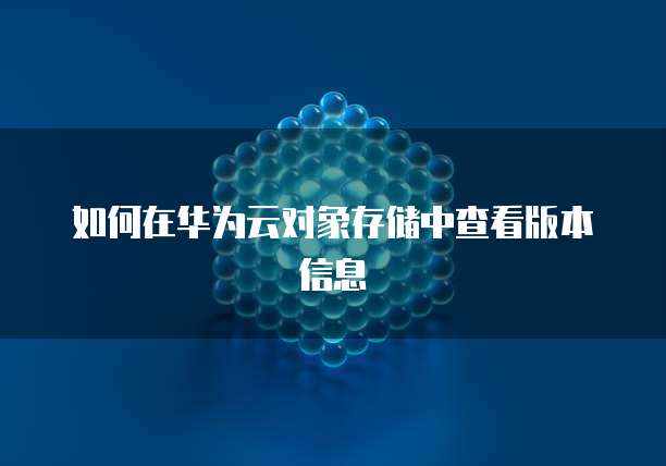如何在华为云对象存储中查看版本信息