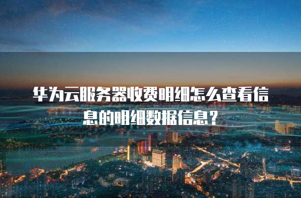 华为云服务器收费明细怎么查看信息的明细数据信息?