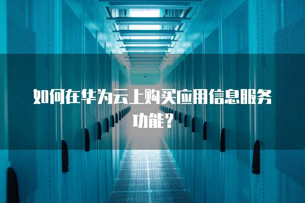 如何在华为云上购买应用信息服务功能?