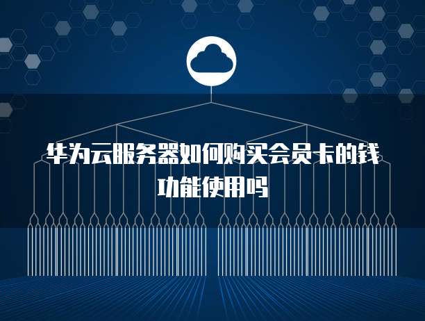华为云服务器如何购买会员卡的钱功能使用吗