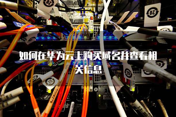 如何在华为云上购买域名并查看相关信息
