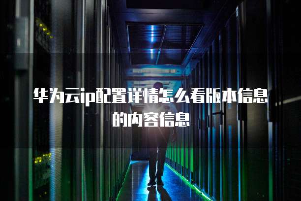 华为云ip配置详情怎么看版本信息的内容信息