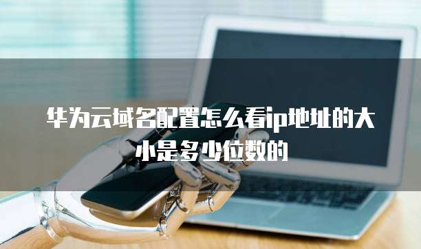 华为云域名配置怎么看ip地址的大小是多少位数的