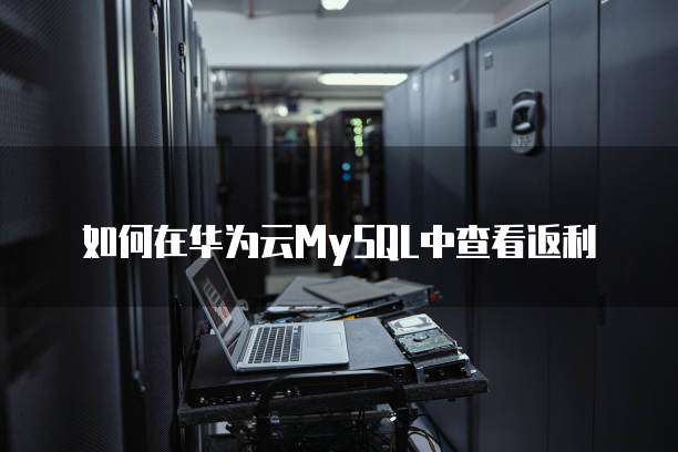 如何在华为云MySQL中查看返利