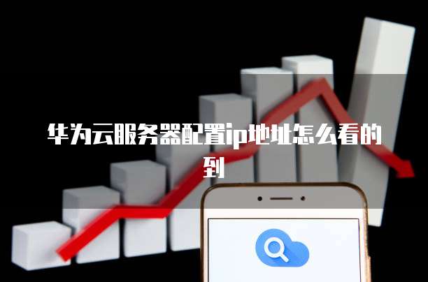 华为云服务器配置ip地址怎么看的到