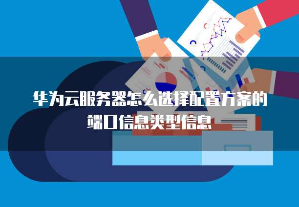 华为云服务器怎么选择配置方案的端口信息类型信息
